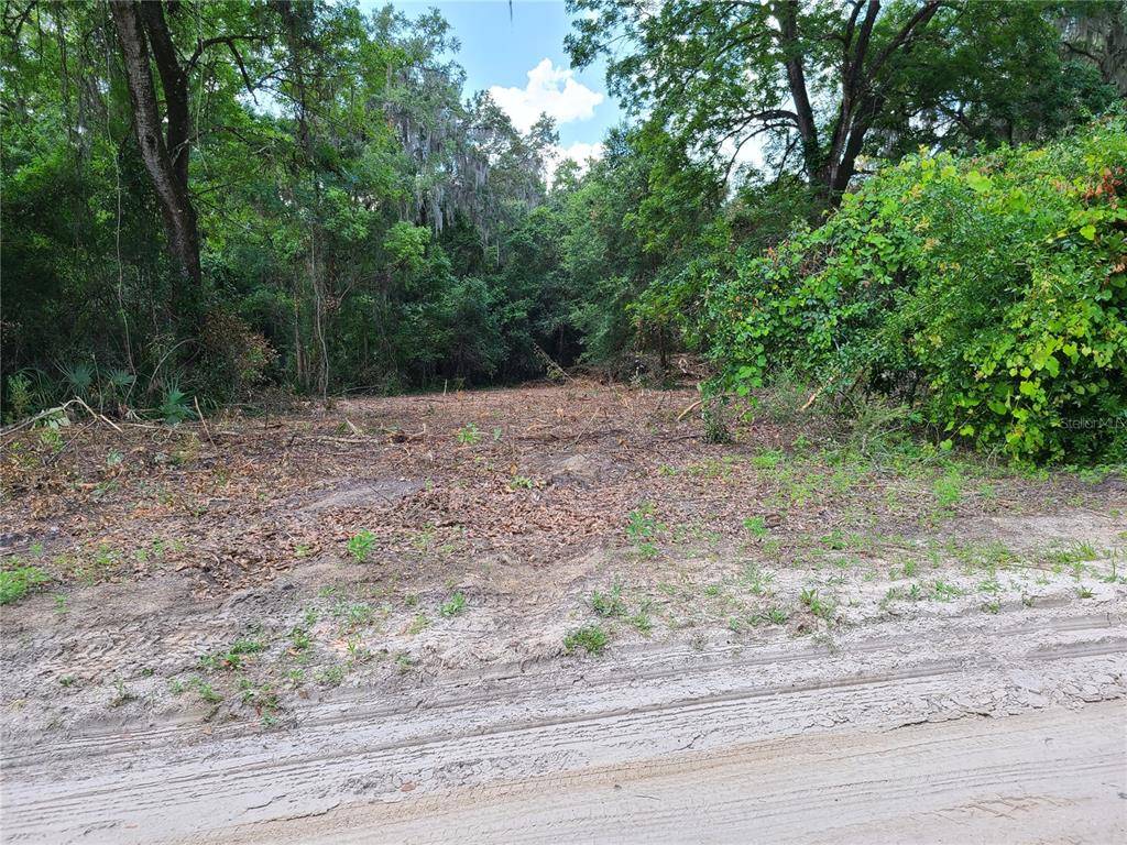 Ocklawaha, FL 32179,0 SE 95TH ST