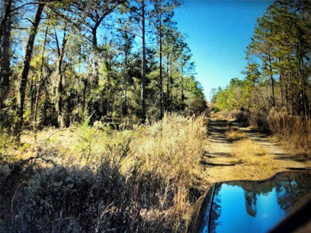 Williston, FL 32696,0 NE 148TH TER