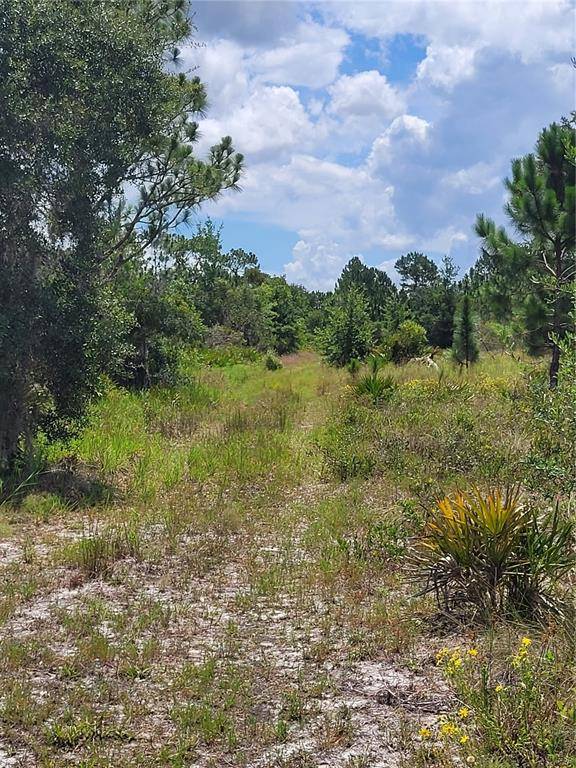 Frostproof, FL 33843,LOT 53 DAWES RD