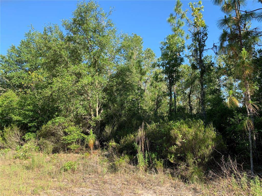 Bronson, FL 32621,TBD NE 78TH LN