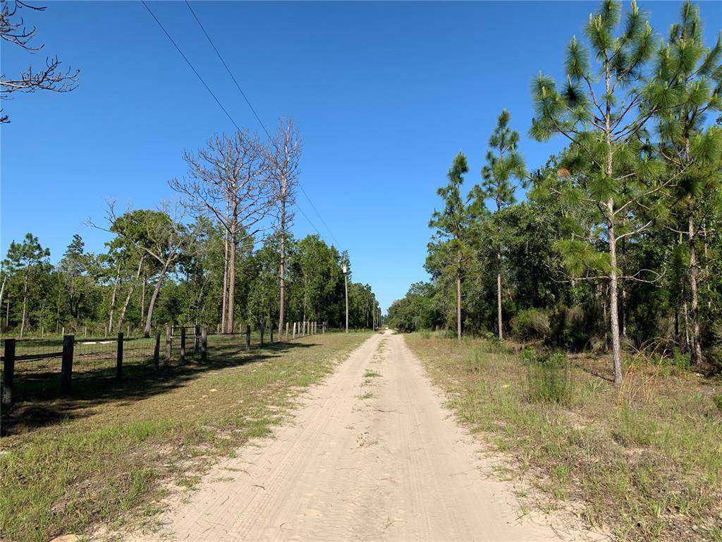 Bronson, FL 32621,TBD NE 78TH LN