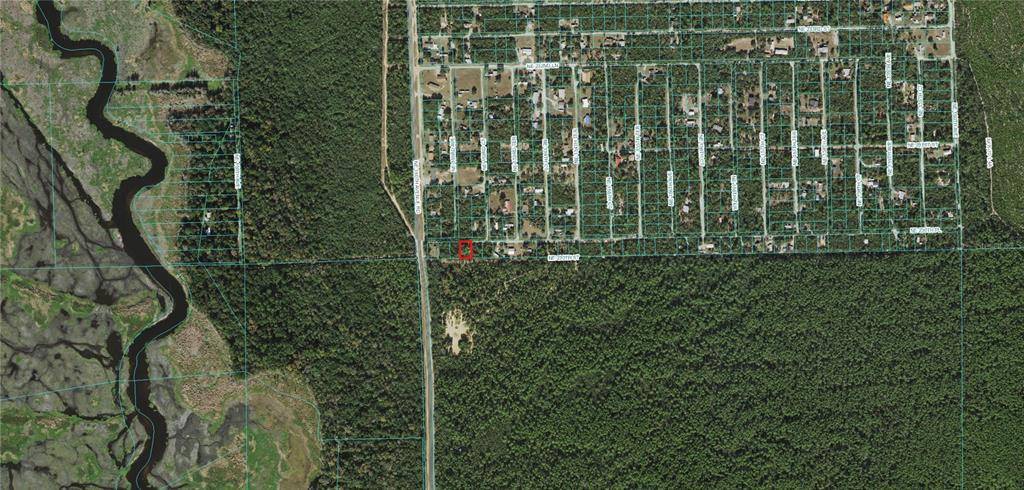 Fort Mc Coy, FL 32134,TBD NE 220 PLACE