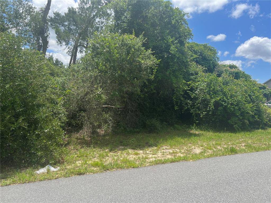 Ocala, FL 34473,TBD SW 166TH LN