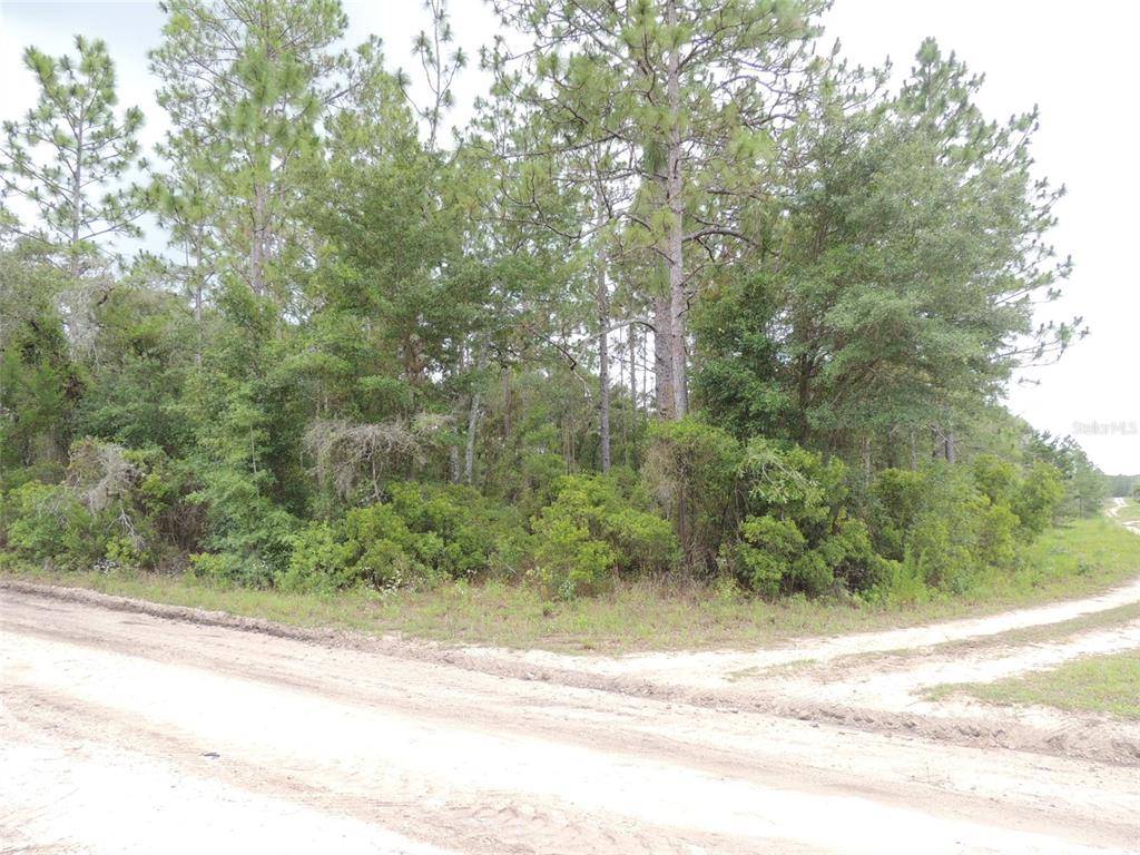 Williston, FL 32696,12830 NE 14TH ST