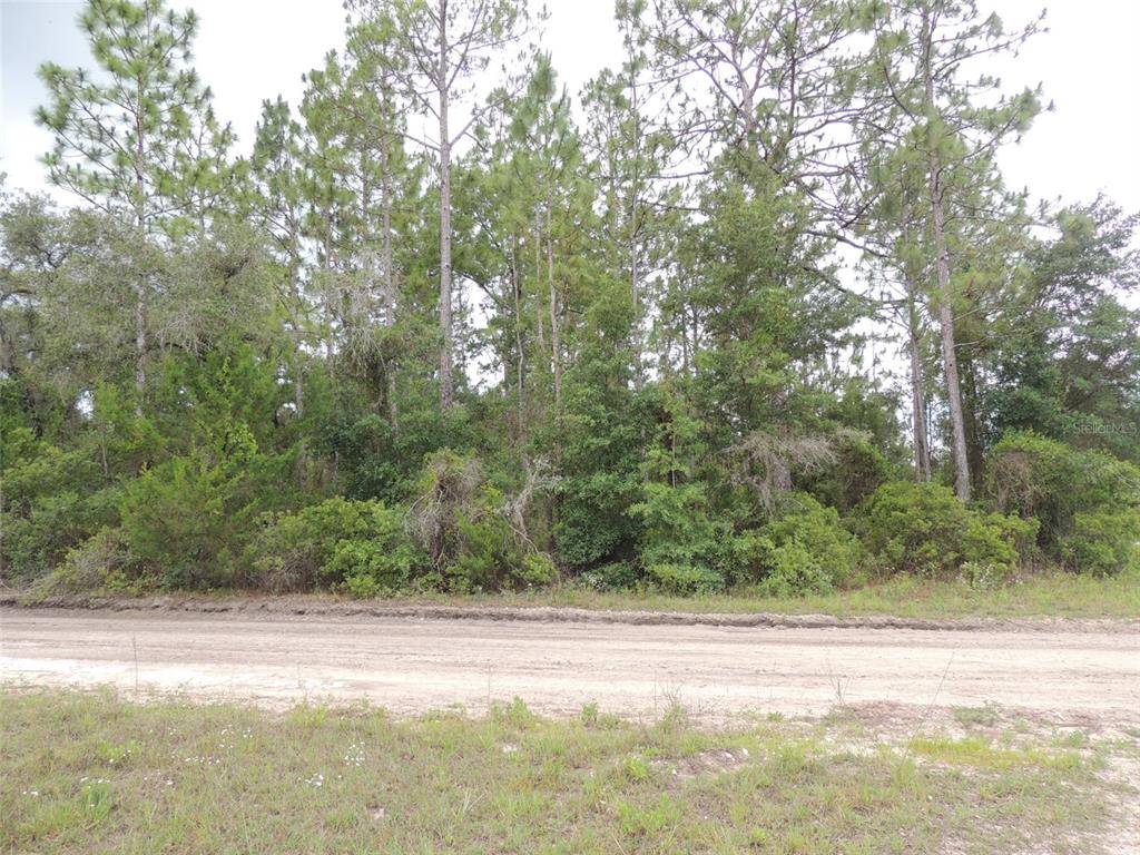 Williston, FL 32696,12830 NE 14TH ST