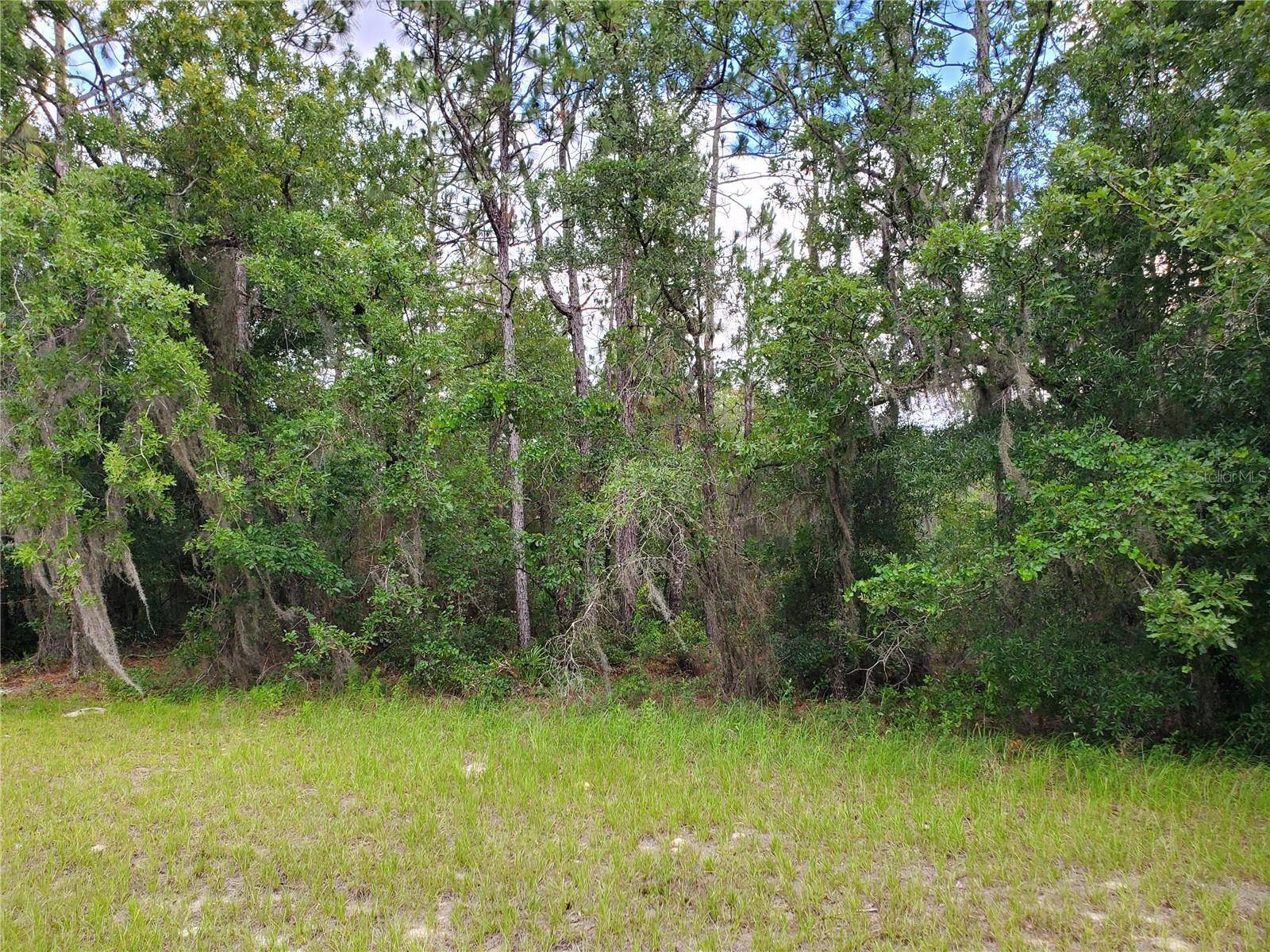 Ocala, FL 34473,8650 SW 138 LN