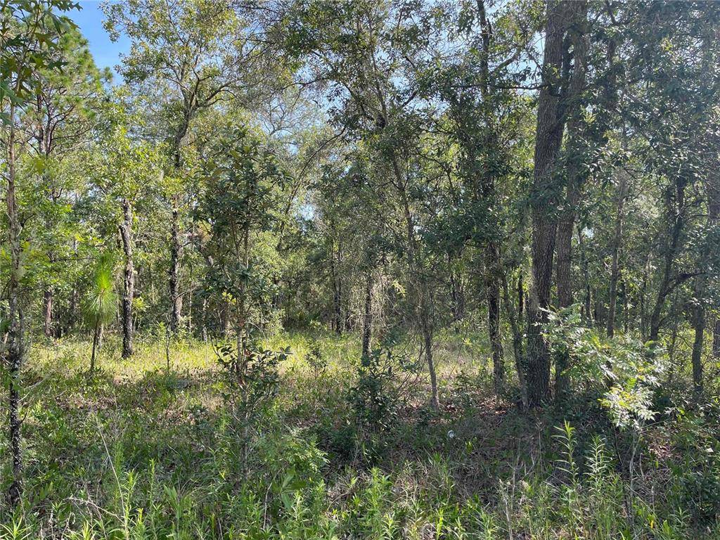 Morriston, FL 32668,Lot 1 SE 66 PLACE