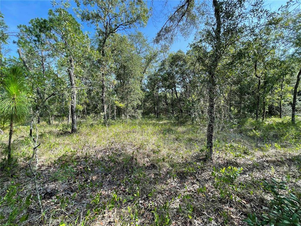 Morriston, FL 32668,Lot 1 SE 66 PLACE