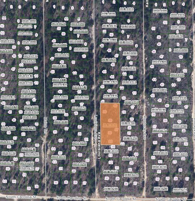 Hawthorne, FL 32640,00 LOUISSIANA AVE