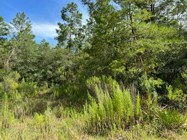 Dunnellon, FL 34433,5046 W OSMOND LN