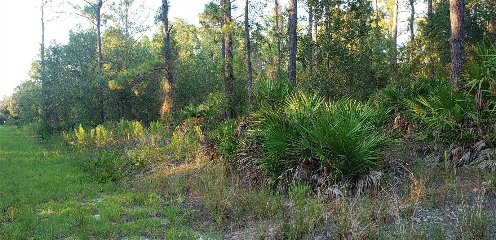 Dunnellon, FL 34431,Lot 33 SW SOUTH VIEW CT