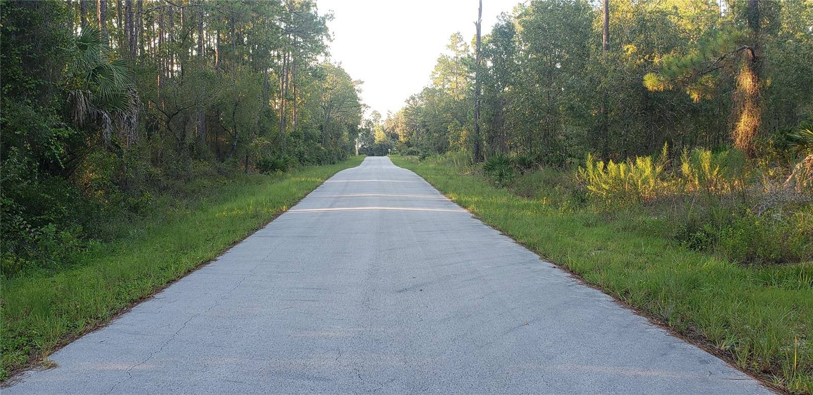 Dunnellon, FL 34431,Lot 34 SW SOUTH VIEW CT