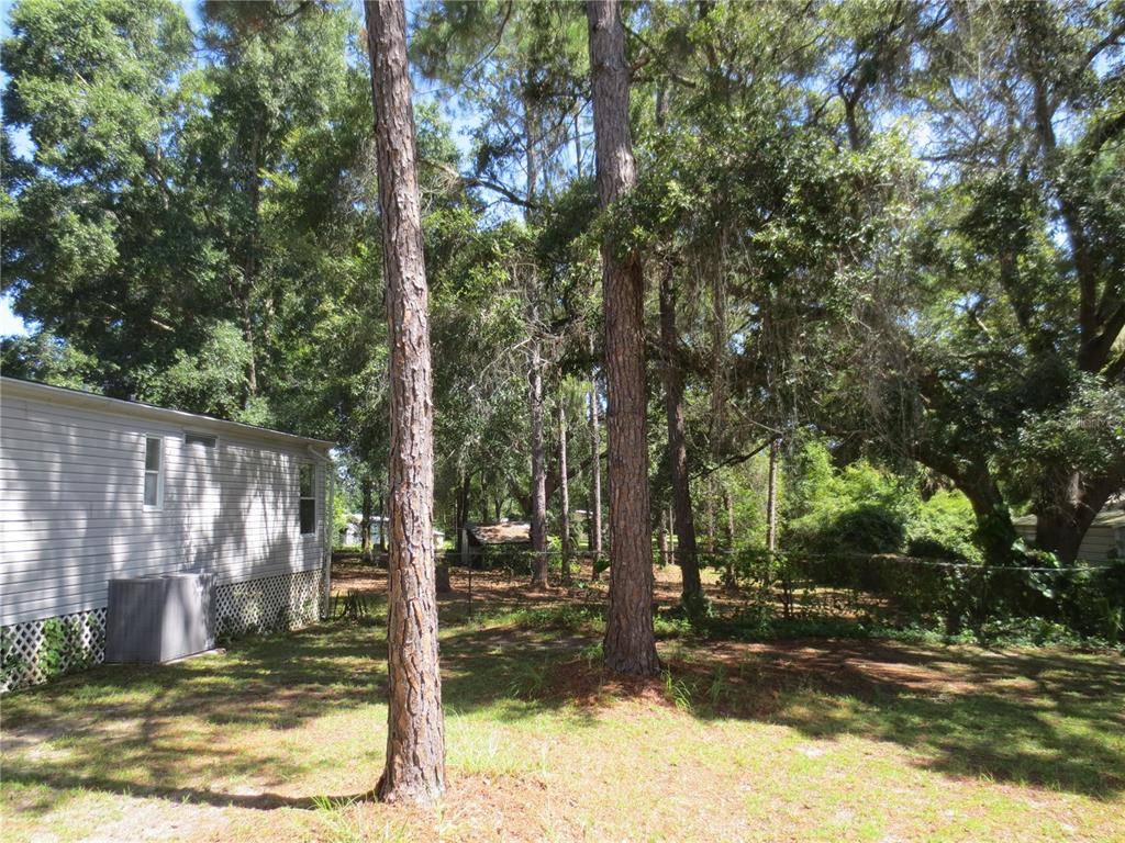 Ocklawaha, FL 32179,17755 SE 86TH ST