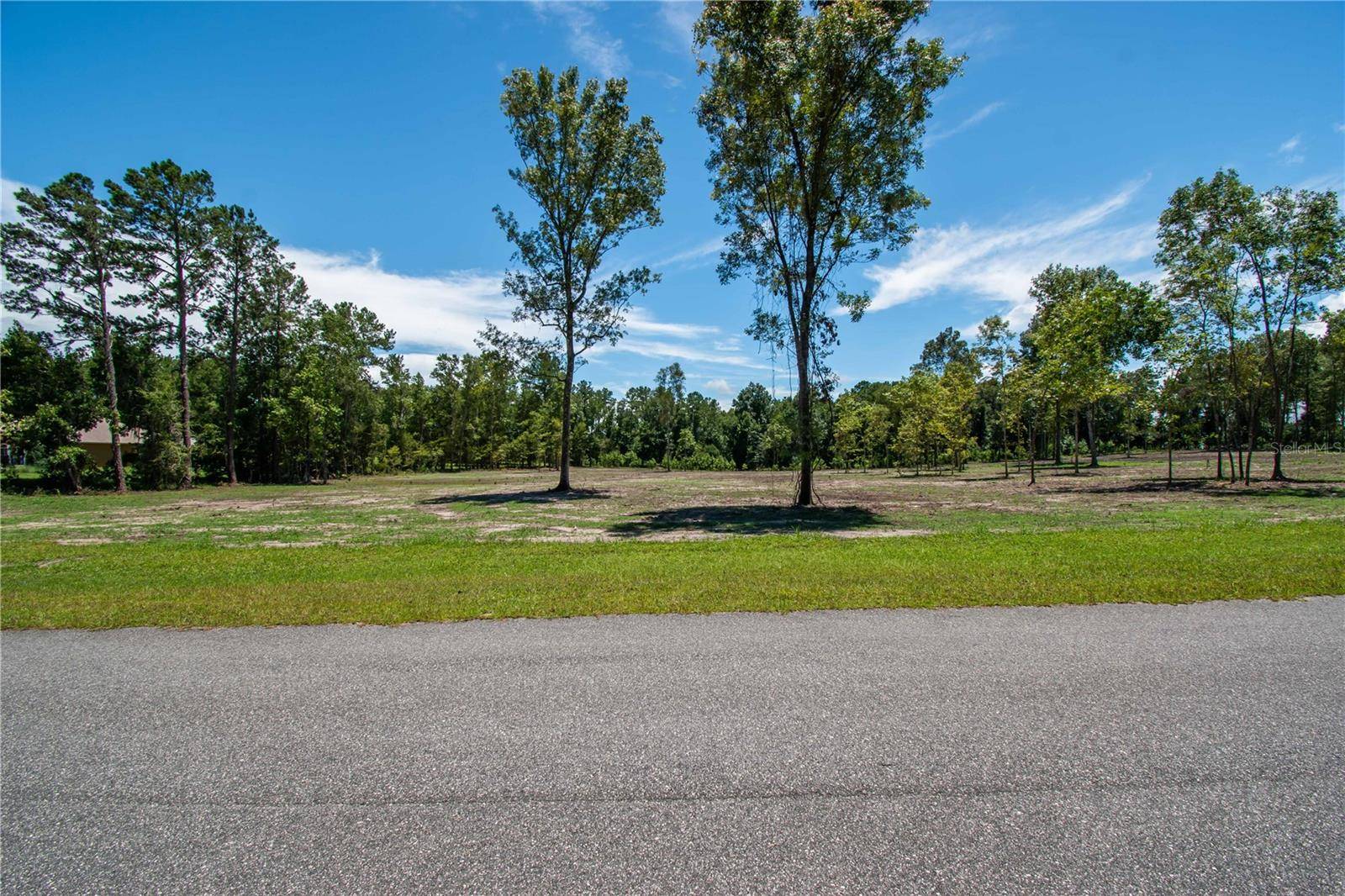 Williston, FL 32696,000 NW 142ND ST