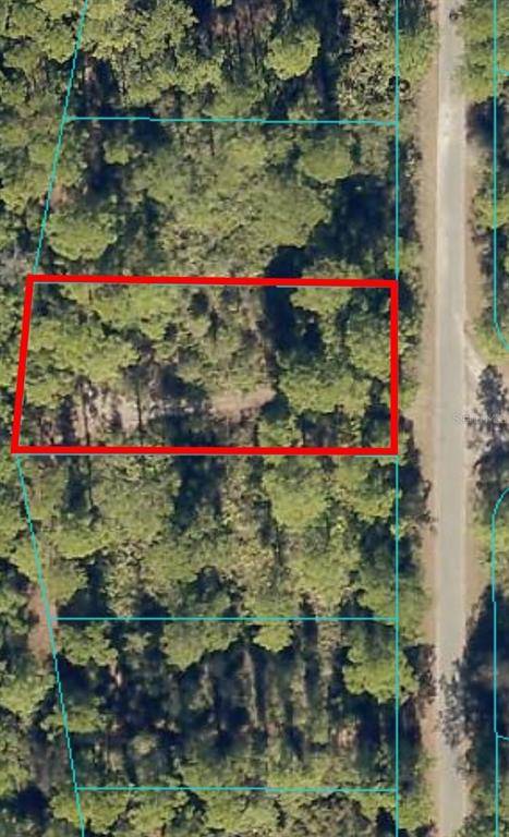 Ocklawaha, FL 32179,Lot 67 FISHER LOOP