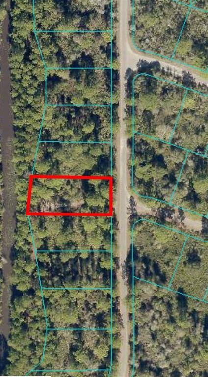 Ocklawaha, FL 32179,Lot 67 FISHER LOOP