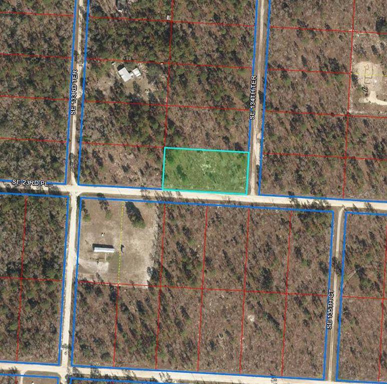 Morriston, FL 32668,2290 SE 134TH TER