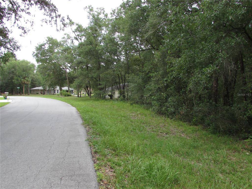 Dunnellon, FL 34432,TBD SW 190TH CT