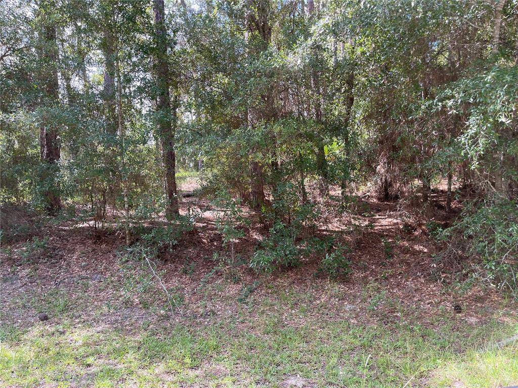 Dunnellon, FL 34431,0 SW 208 CIR