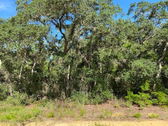 Hawthorne, FL 32640,120 WILLOW ST