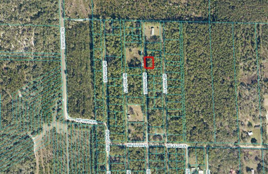 Citra, FL 32113,TBD NE 66TH AVE