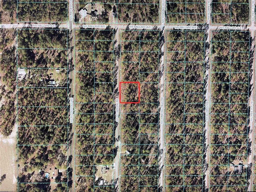 Dunnellon, FL 34431,000 SW SYCAMORE RD