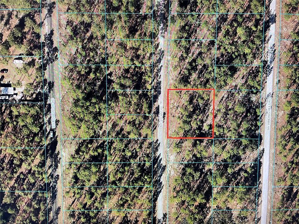 Dunnellon, FL 34431,000 SW SYCAMORE RD