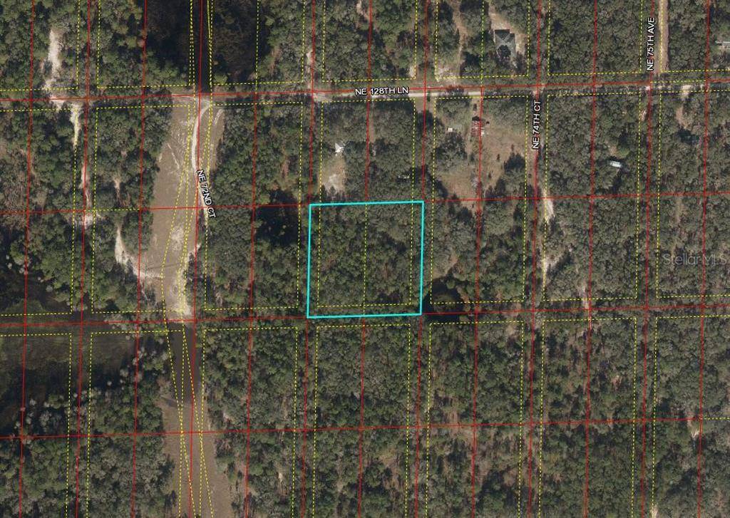 Bronson, FL 32621,TBD NE 128TH LN