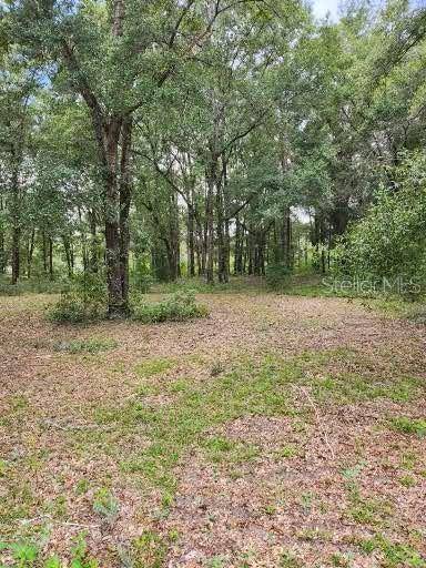 Archer, FL 32618,NE 102ND AVE #LOT B