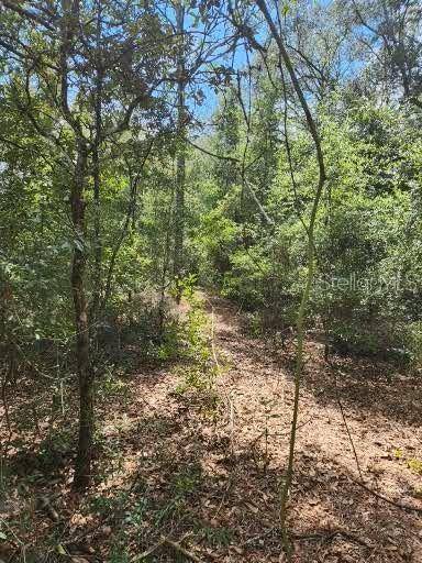 Archer, FL 32618,NE 102ND AVE #LOT D