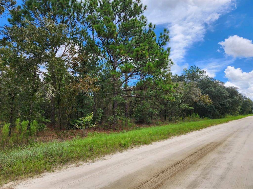 Dunnellon, FL 34432,0 SW 89 ST