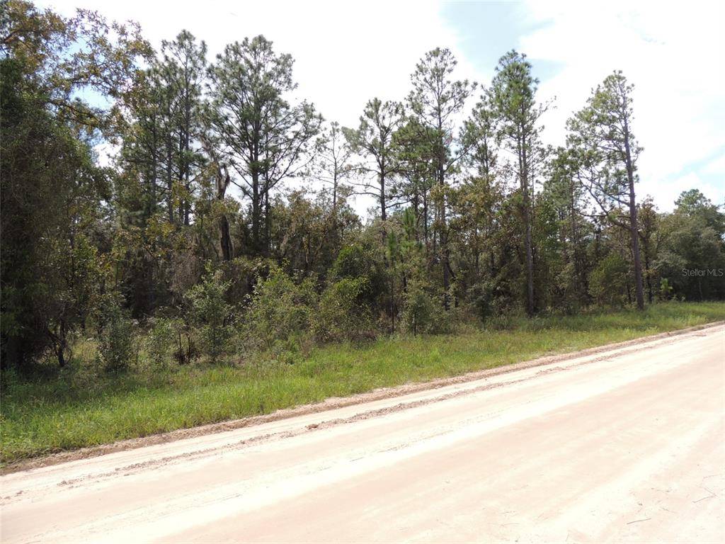 Williston, FL 32696,13950 NE 4TH ST