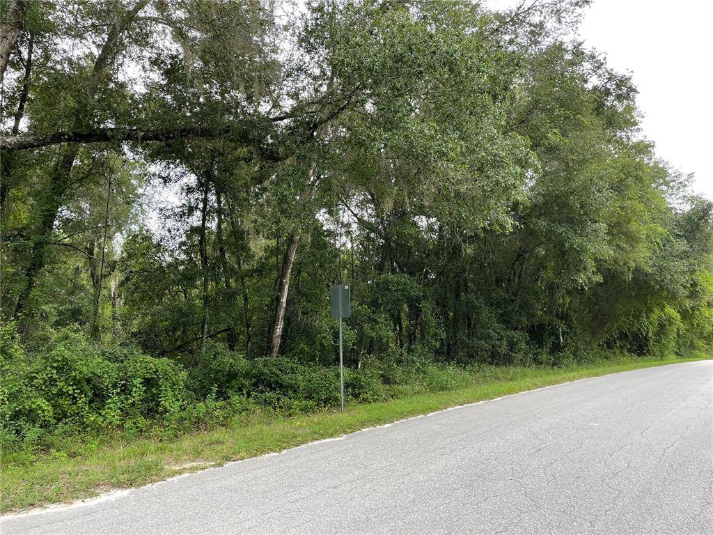 Dunnellon, FL 34432,000 SW 136 COURT RD