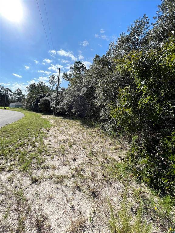 Ocala, FL 34473,0 SW 144 PL