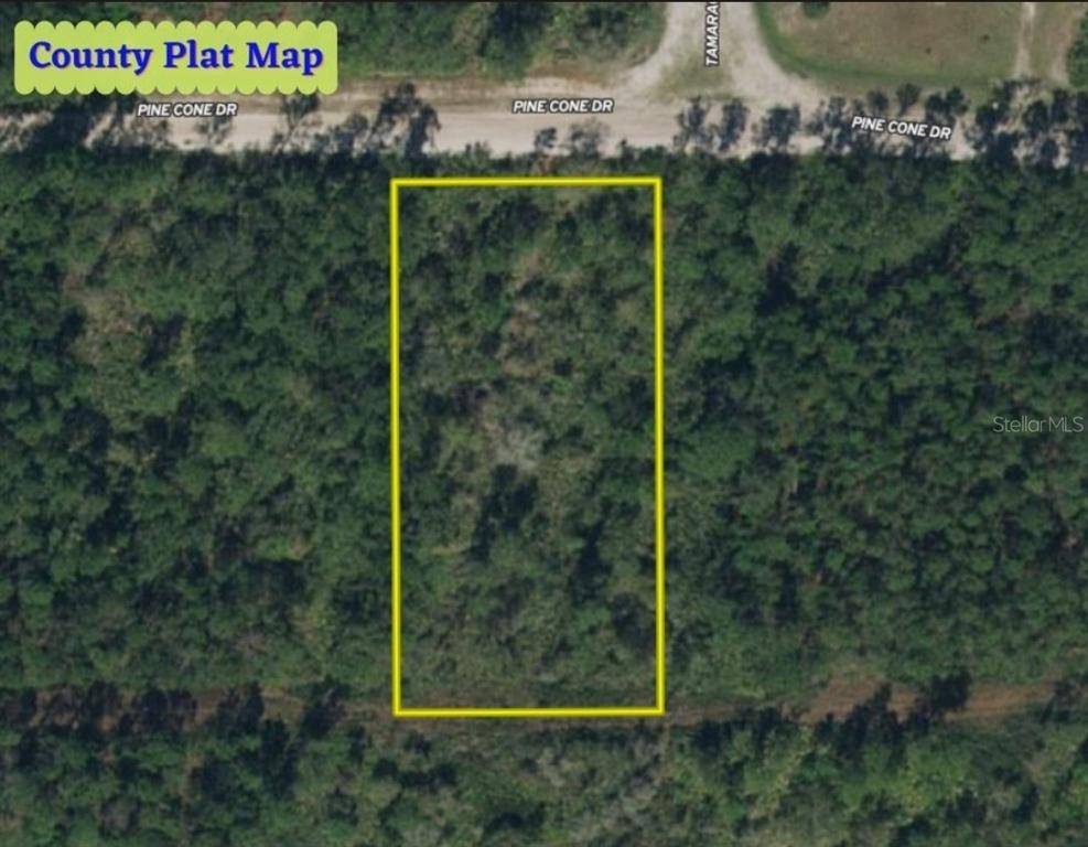 Georgetown, FL 32139,137 PINE CONE DR