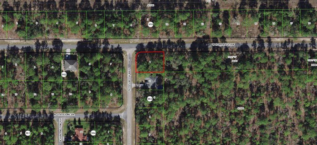 Citrus Springs, FL 34434,438 W HOMEWAY LOOP