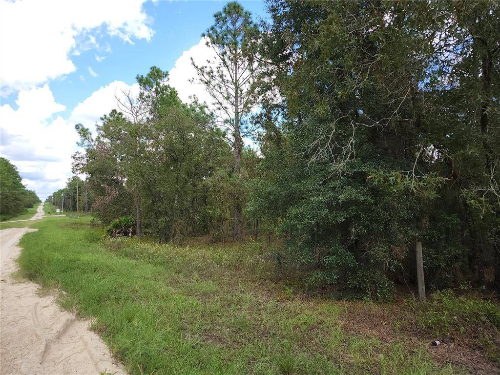 Dunnellon, FL 34432,Lot 4 SW 121 ST TER