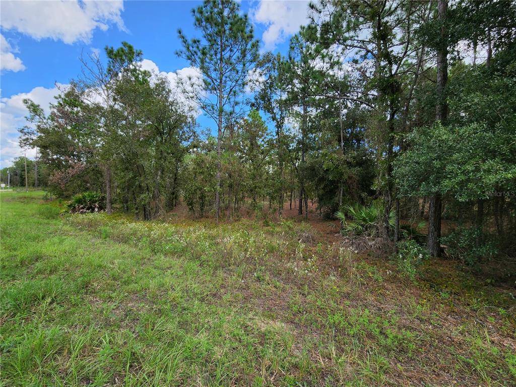 Dunnellon, FL 34432,Lot 4 SW 121 ST TER