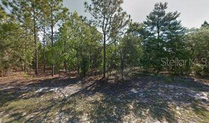 Citrus Springs, FL 34434,9365 N PINEVIEW WAY