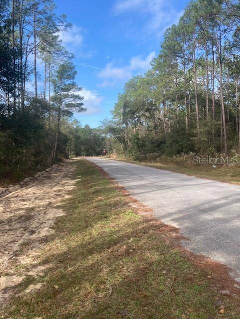 Dunnellon, FL 34431,0 SW BLUEBERRY LANE