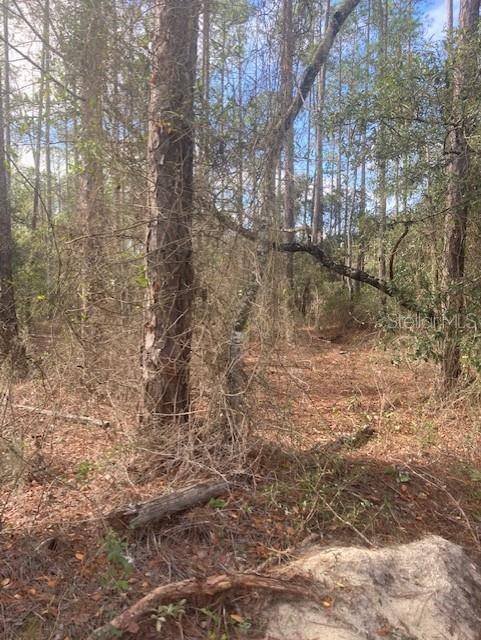 Dunnellon, FL 34431,0 SW BLUEBERRY LANE