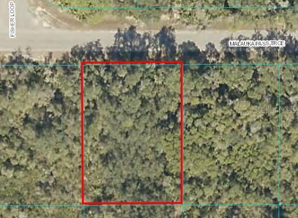 Ocklawaha, FL 32179,Lot 16 MALAUKA PASS TRCE