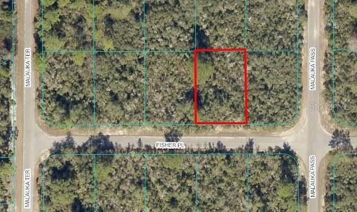 Ocklawaha, FL 32179,Lot 2 FISHER PL