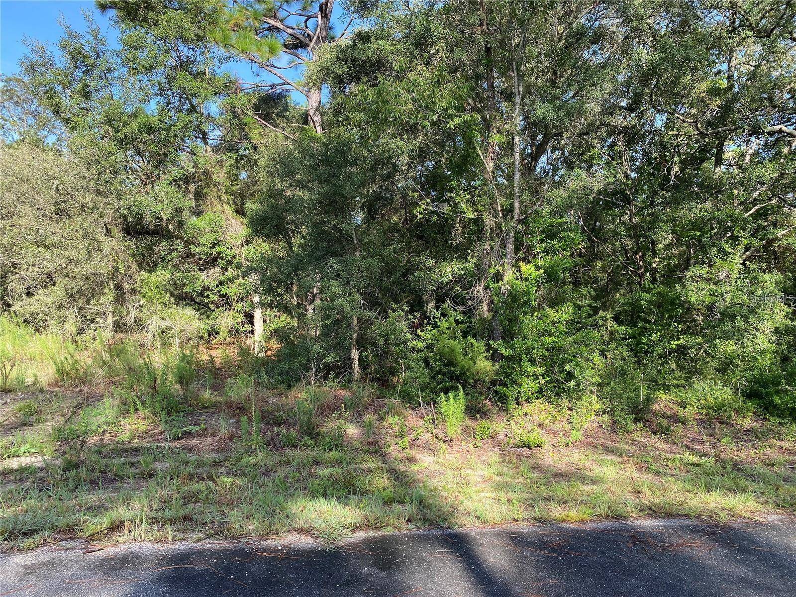 Dunnellon, FL 34431,SW BREEZY POINT DR