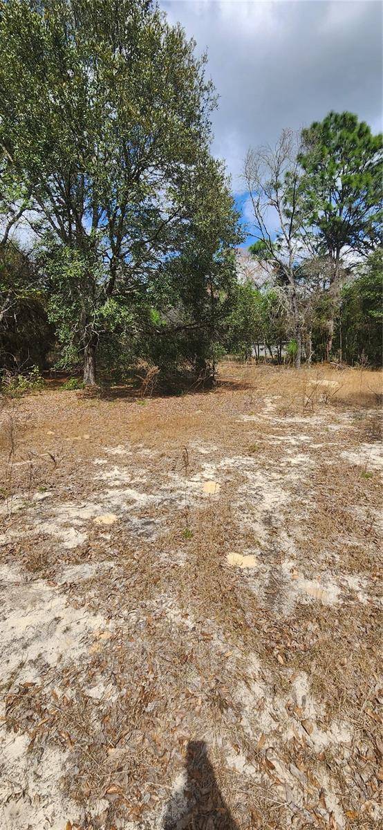 Dunnellon, FL 34431,SW BREEZY POINT DR