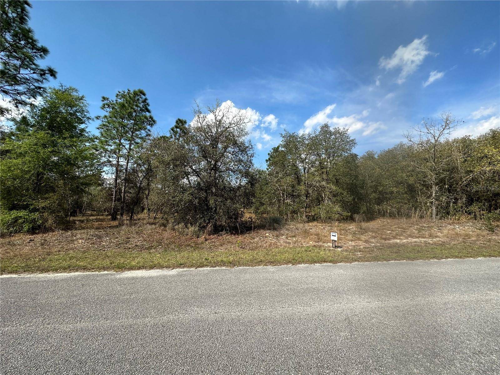 Dunnellon, FL 34431,00 SW HILLIARD AVE