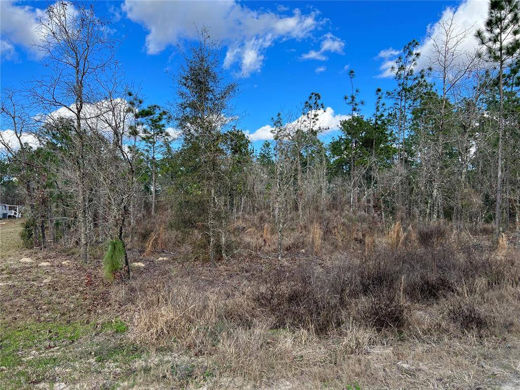 Ocala, FL 34481,TBD SW 73RD ST