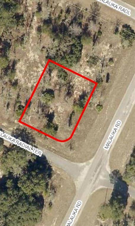 Ocklawaha, FL 32179,LOT 1 MALUAKA