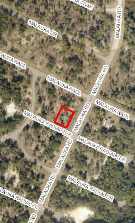 Ocklawaha, FL 32179,LOT 1 MALUAKA