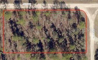 Dunnellon, FL 34432,SW 125TH TERRACE